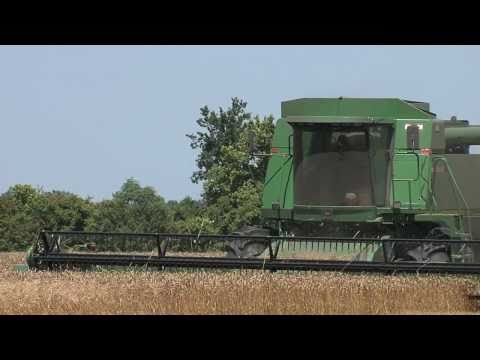 GBR Port Team Coverage: A Farmer's Take GBR Port Team Coverage: A Farmer's Take