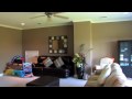 12241 LAKE ESTATES