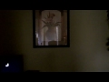 Test Vid Test Vid