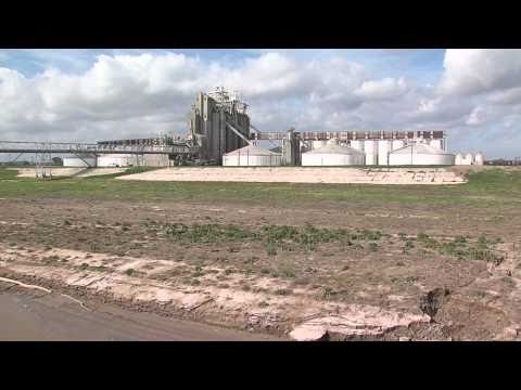 Dreyfus Delay