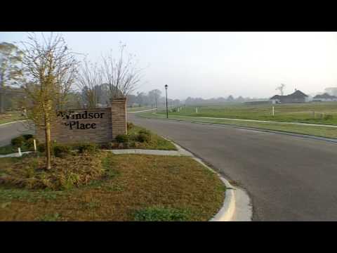 Baton Rouge Real Estate Buzz: Zachary Louisiana's New Windsor Place Subdivision Update Baton Rouge Real Estate Buzz: Zachary Louisiana's New Windsor Place Subdivision Update