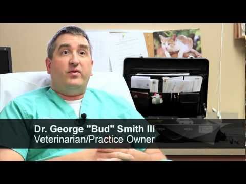 Bocage Animal Hospital Bocage Animal Hospital